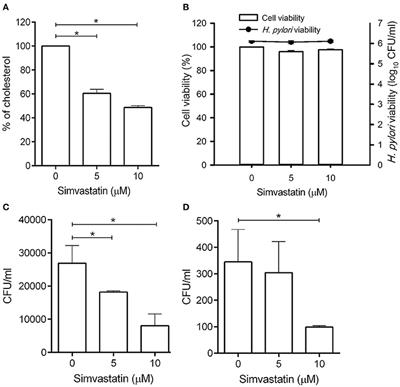 Statin Decreases Helicobacter pylori Burden in Macrophages by Promoting Autophagy